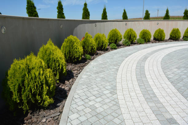 Best Driveway Pavers Near Me  in Sale Creek, TN